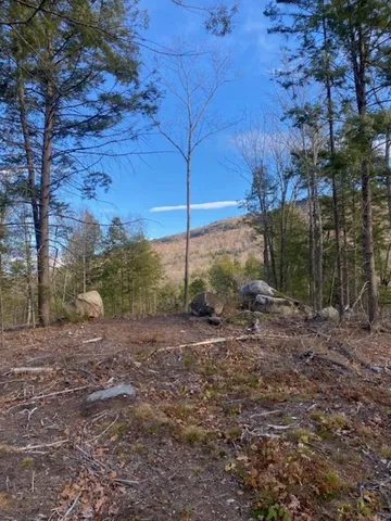 $168,000 | 15-12-10-13 15-12-10-13 Jacob Hall Farm Road, Unit 2, Rumney, NH 03266