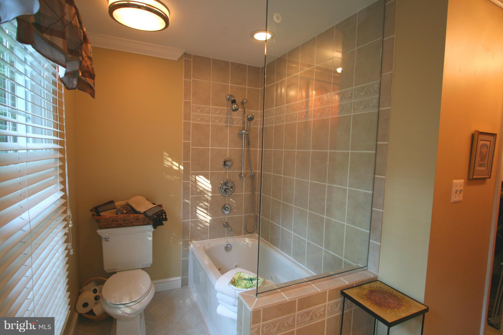 11939 Riders Lane Reston, VA 20191 - Photo 12 of 30 a bathroom with a toilet and a shower