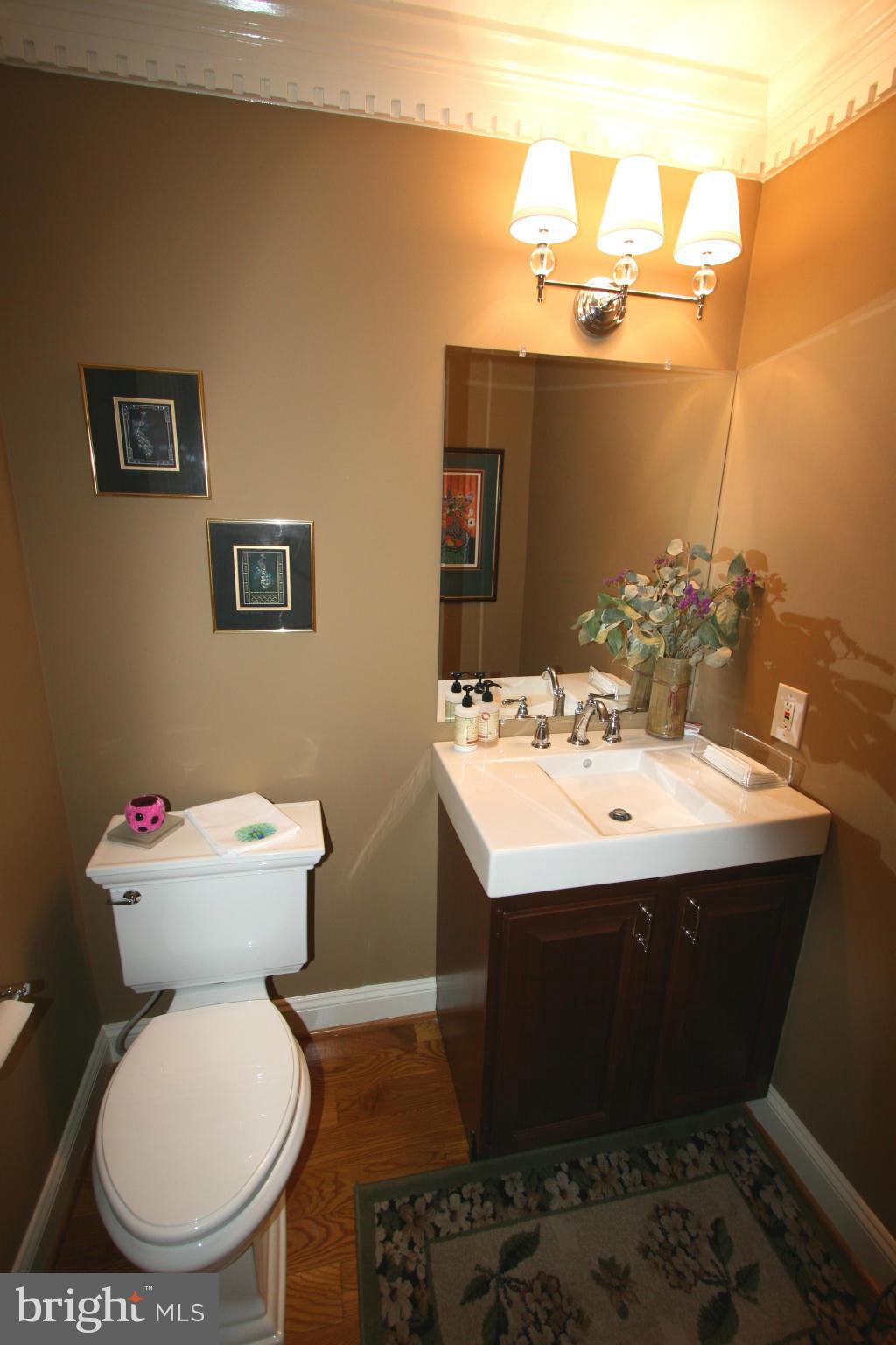 11939 Riders Lane Reston, VA 20191 - Photo 22 of 30 a bathroom with a sink and mirror with toilet