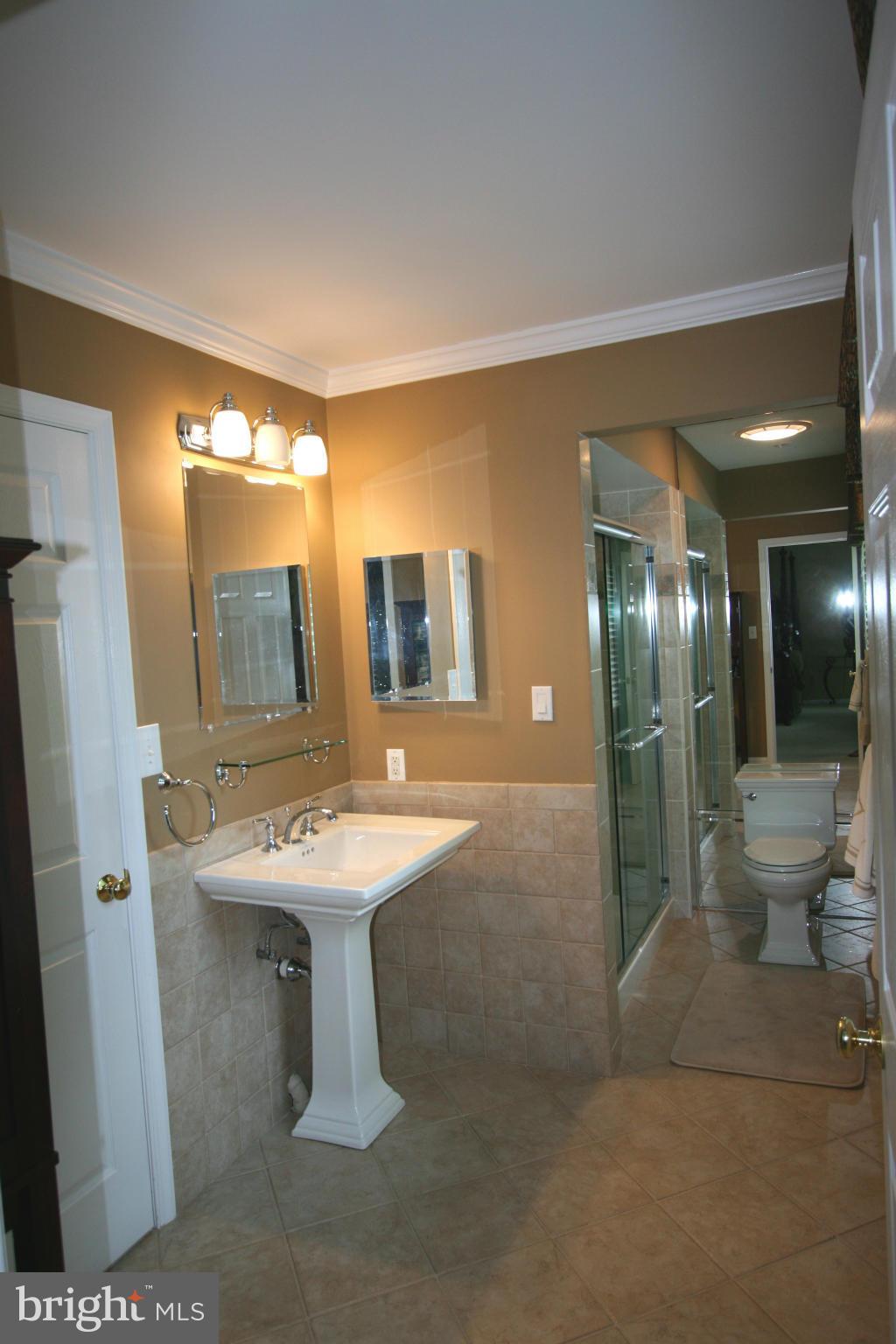 11939 Riders Lane Reston, VA 20191 - Photo 10 of 30 a bathroom with a sink a toilet and shower