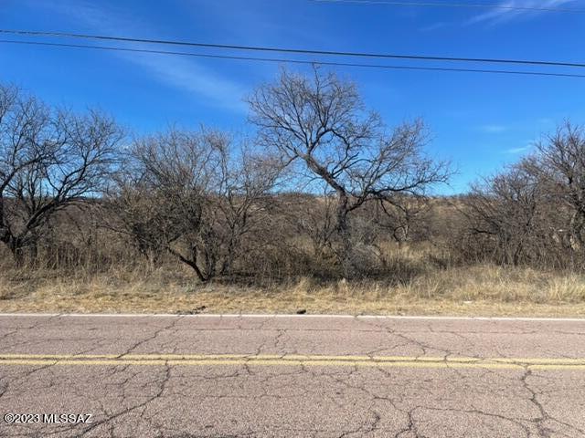 1023 Camino Caralampi Rio Rico, AZ 85648 - Photo 1 of 6