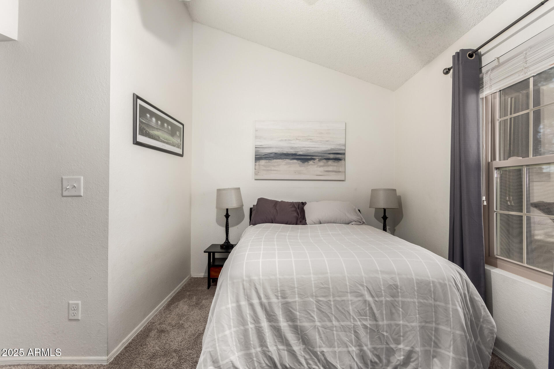 7977 West Wacker Road, Unit 171 Peoria, AZ 85381 - Photo 11 of 26 Vaulted ceiling