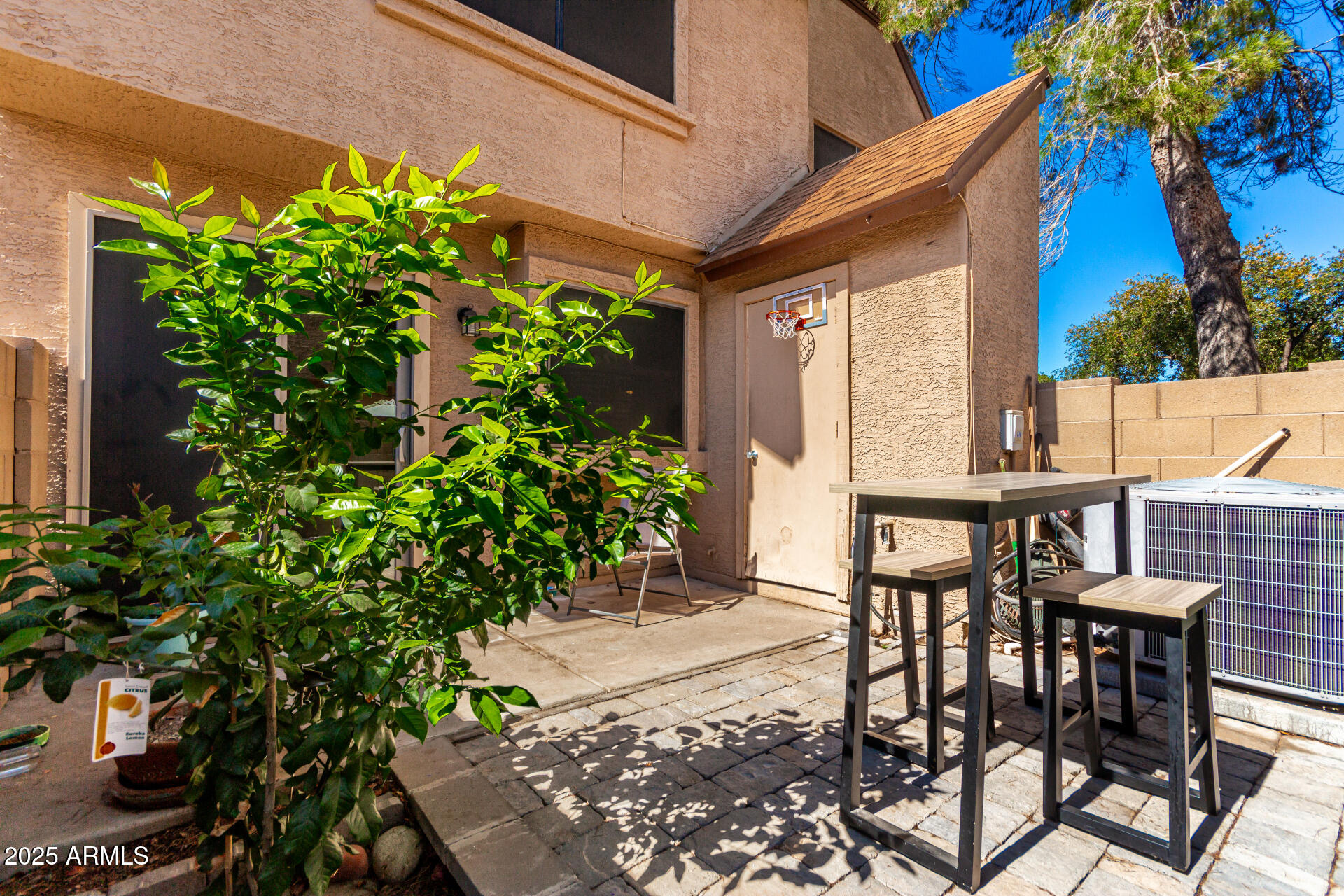 7977 West Wacker Road, Unit 171 Peoria, AZ 85381 - Photo 20 of 26 Lemon tree
