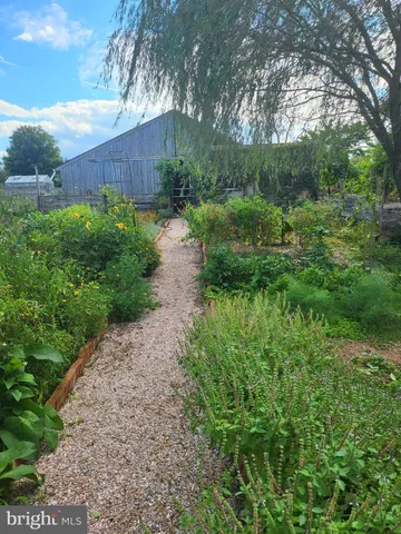 a view of a back yard