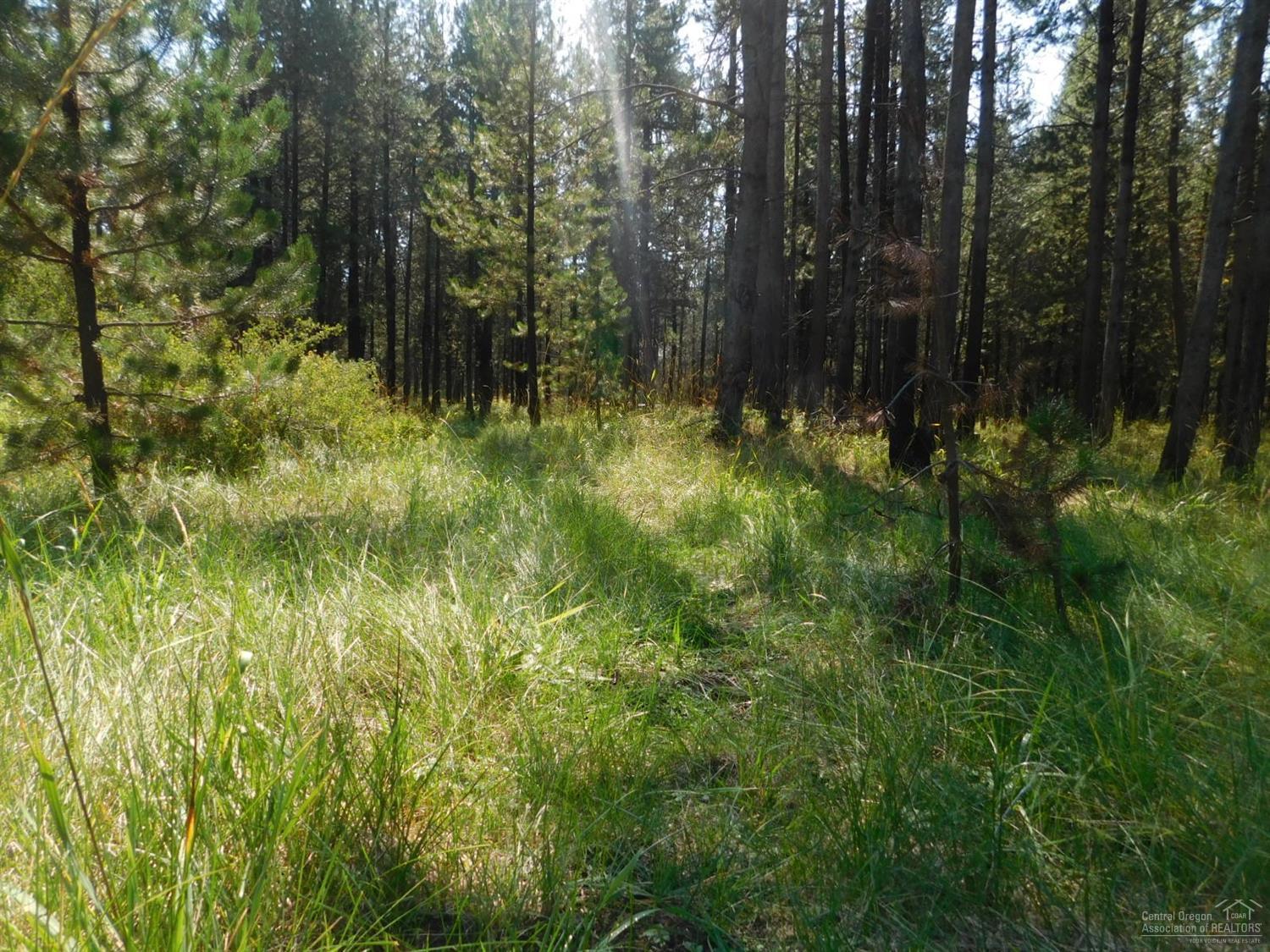16963 Fontana Road Bend, OR 97707 - Photo 11 of 25 Gallery Image 11