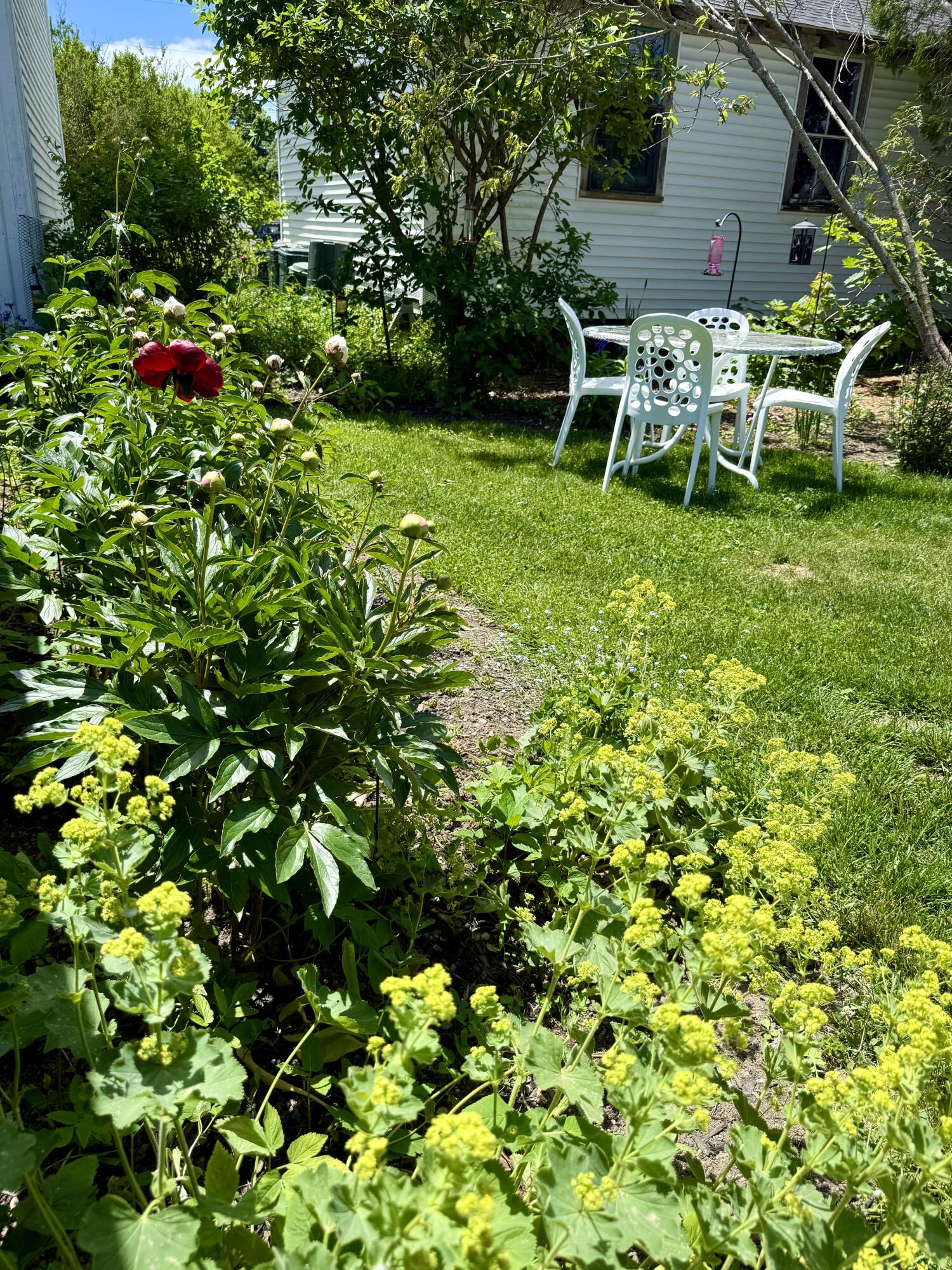 8 Pleasant Street Vinalhaven, ME 04863 - Photo 32 of 36 IMG_8398