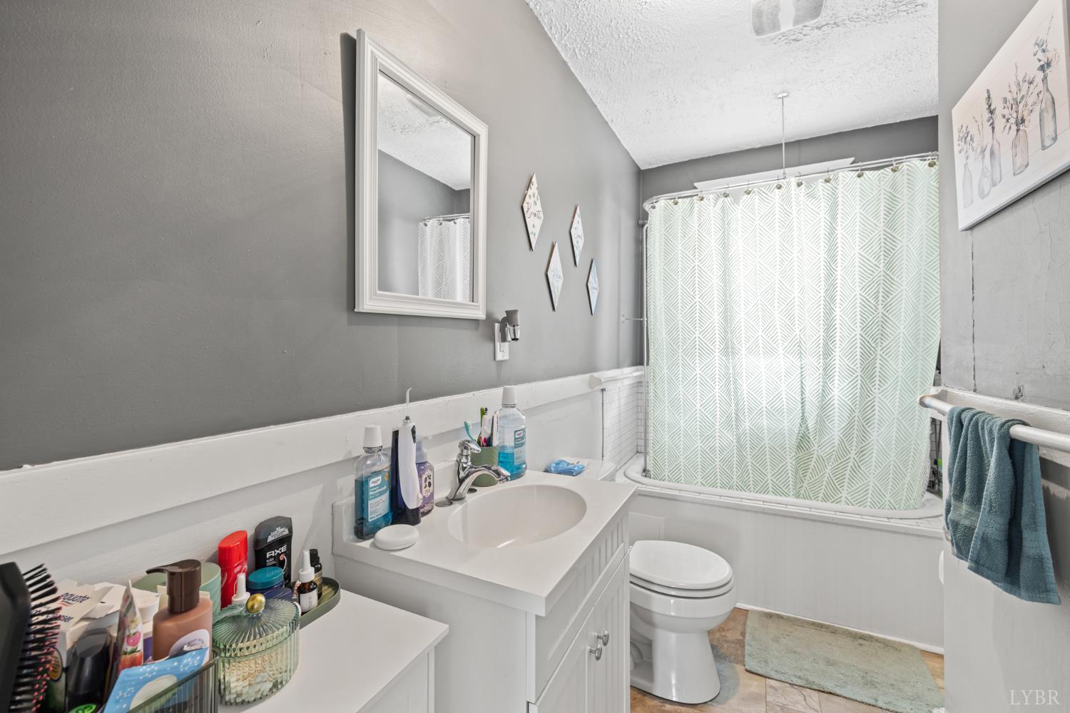 809 Broad Street Altavista, VA 24517 - Photo 33 of 50 a bathroom with a sink vanity mirror and toilet