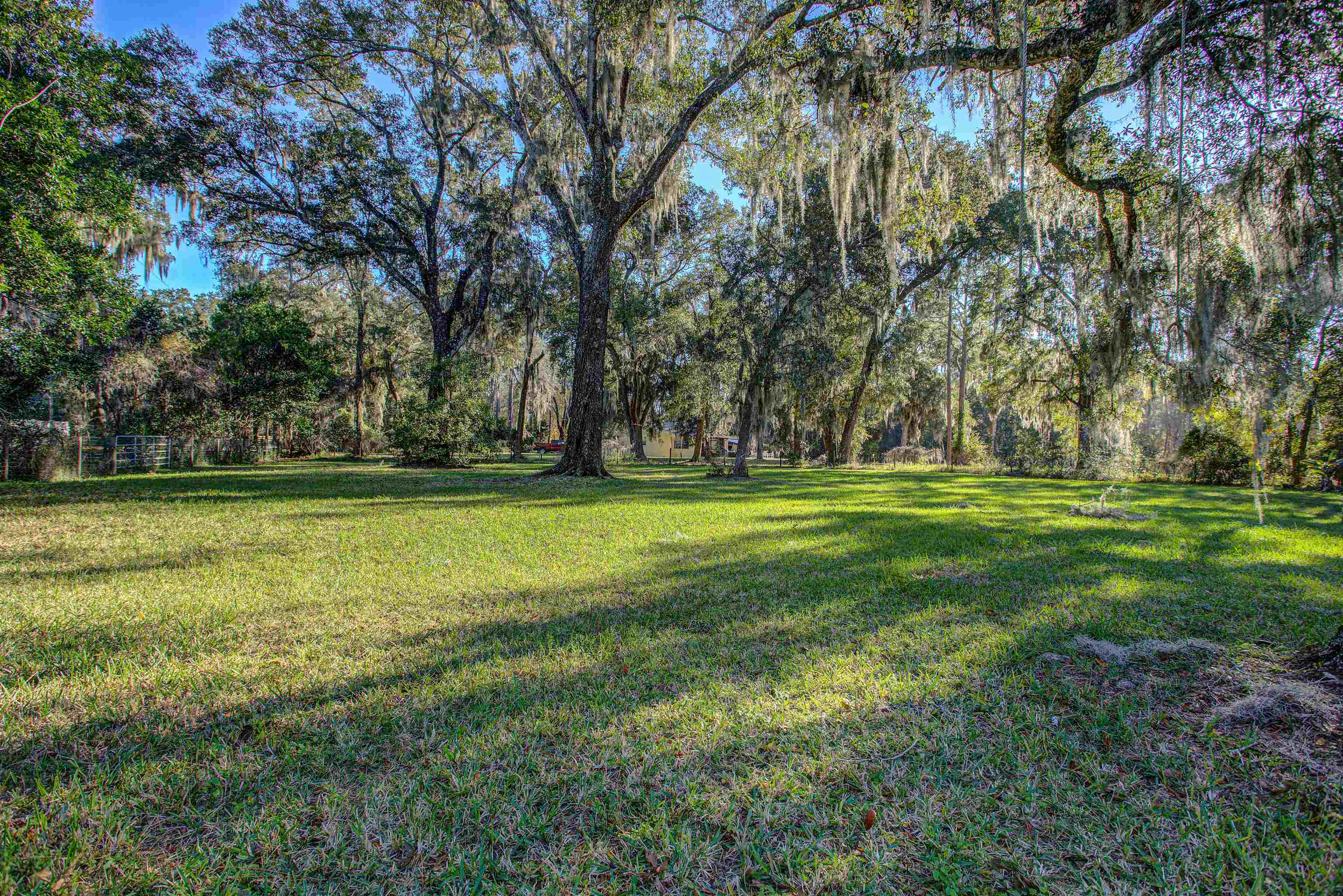 501 Hayley Road St. Augustine, FL 32086 - Photo 2 of 49 View of green lawn