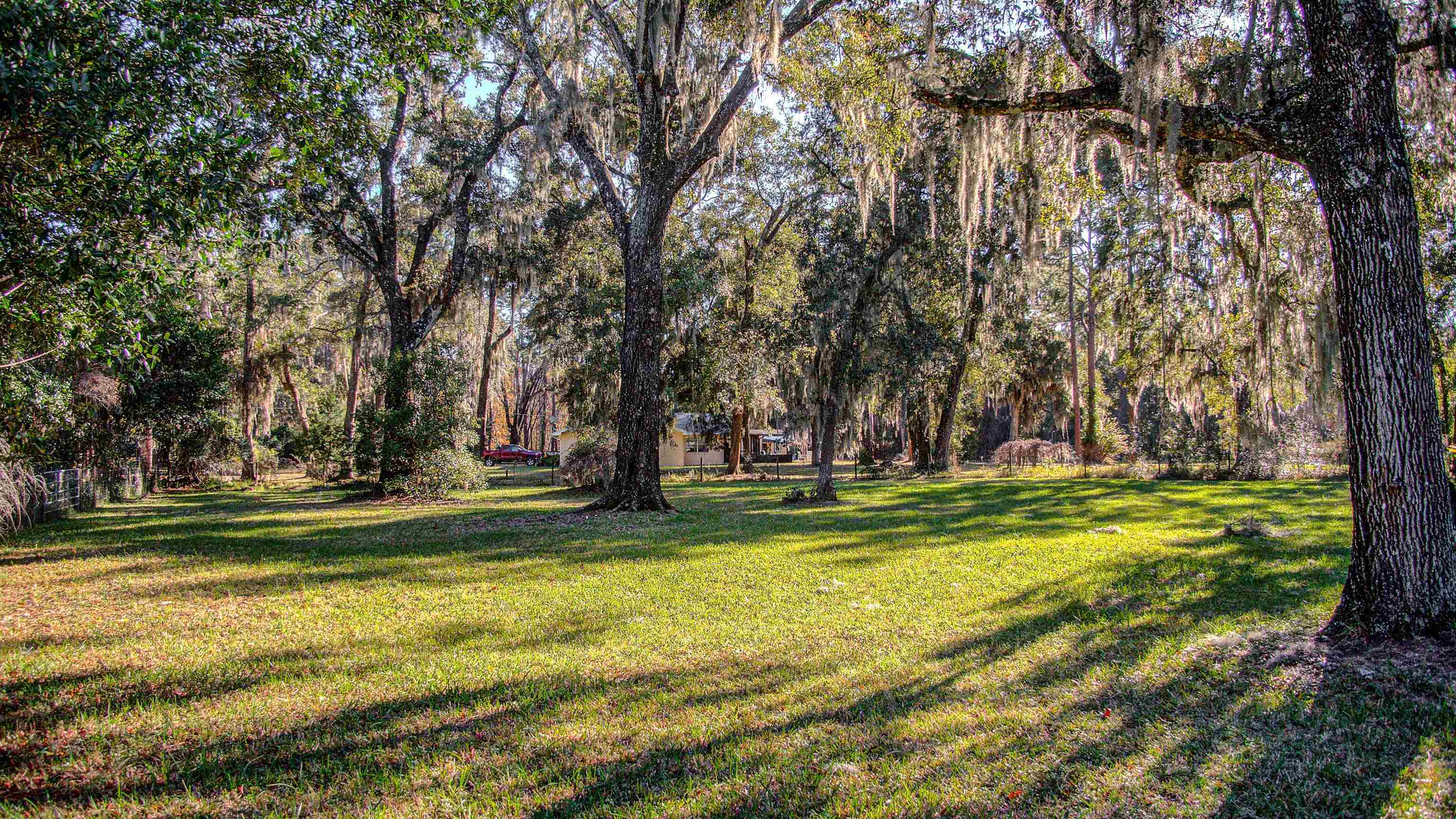 501 Hayley Road St. Augustine, FL 32086 - Photo 41 of 49 View of grassy yard