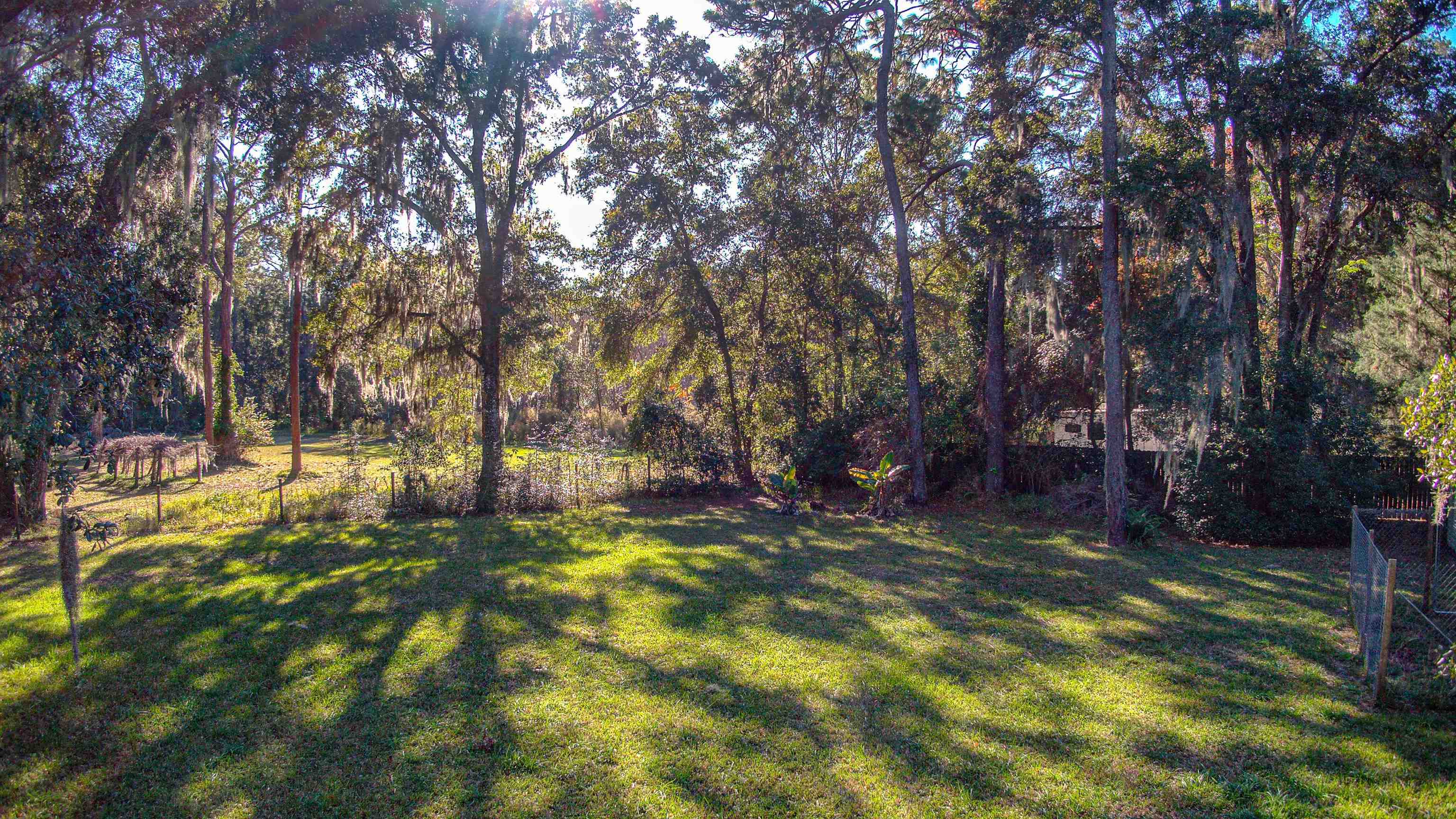501 Hayley Road St. Augustine, FL 32086 - Photo 43 of 49 View of yard with a view of trees