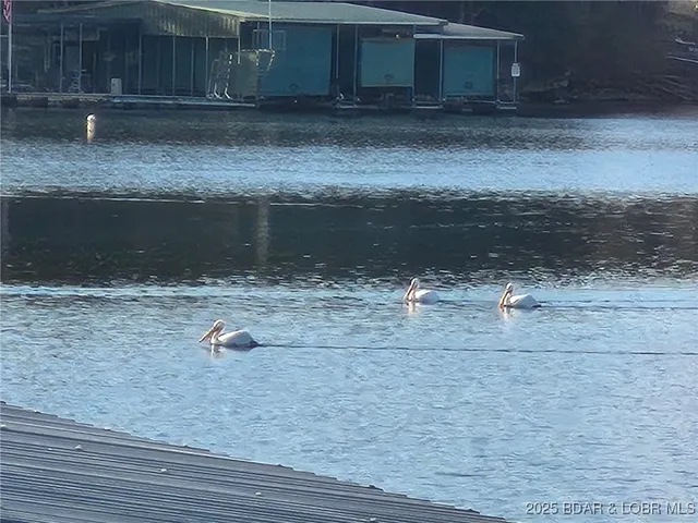 $694,000 | 29744 Clark Road, Gravois Mills, MO 65037