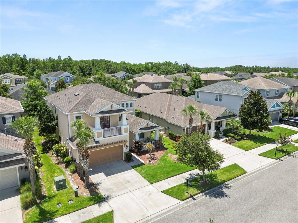8775 Sentiero Drive Land O Lakes, FL 34637 - Photo 8 of 76