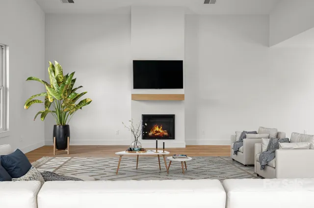 a living room with furniture and a potted plant