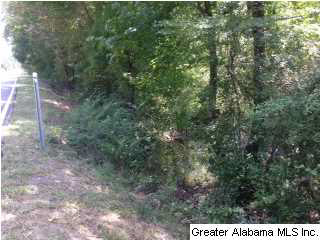 25 Rd Vincent Al Vincent, AL 35178 - Photo 6 of 22
