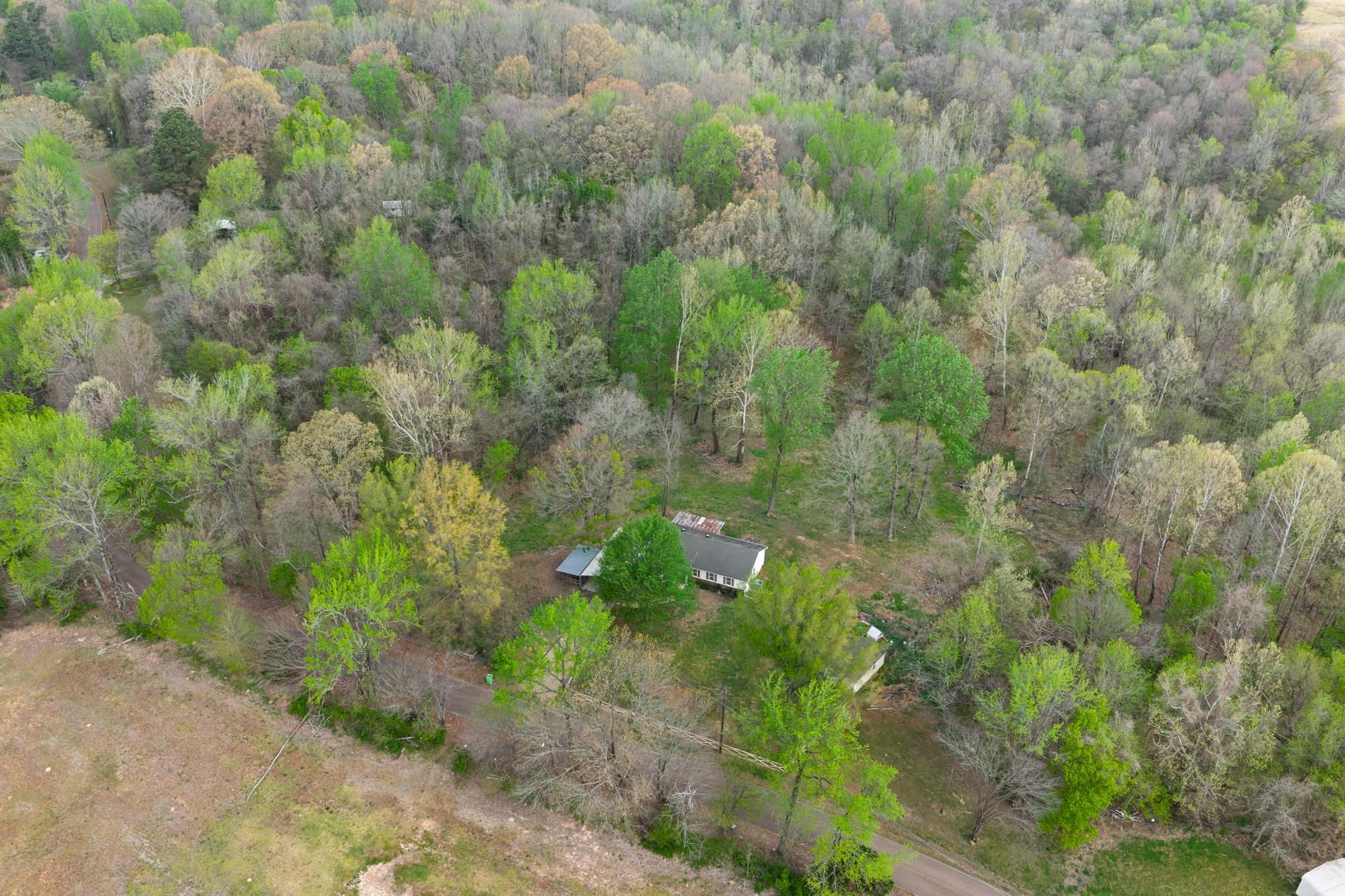 1388 Double Bridges Road Munford, TN 38058 - Photo 27 of 32