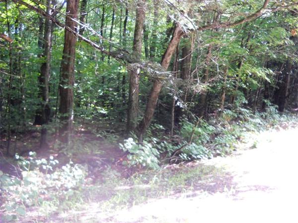 12 Chipman Road Chester, MA 01011 - Photo 3 of 5