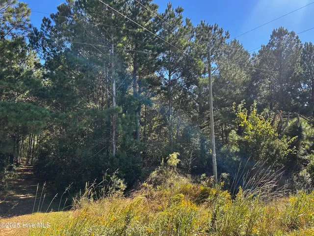 $133,000 | Lot #11 Upland Road, Willard, NC 28478