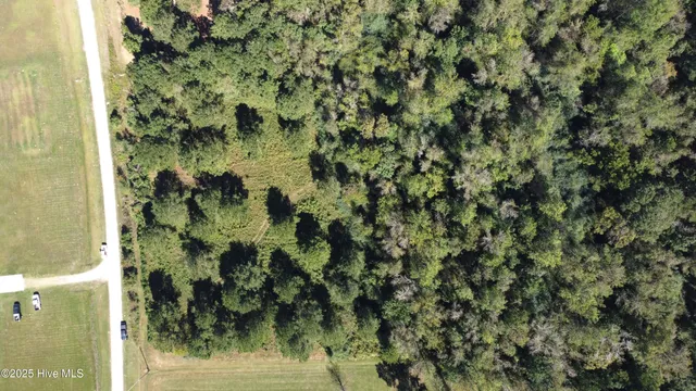 $133,000 | Lot #11 Upland Road, Willard, NC 28478