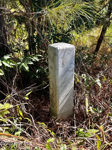 $133,000 | Lot #11 Upland Road, Willard, NC 28478