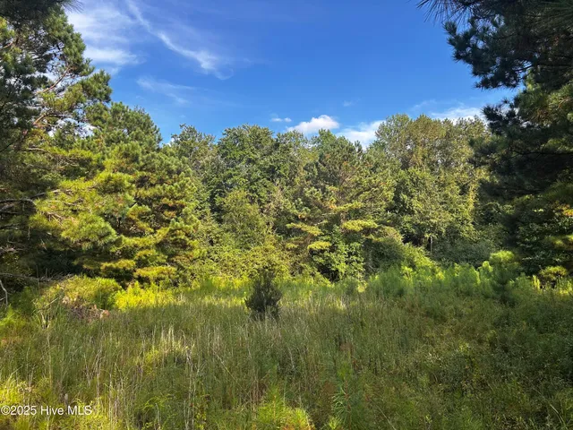 $133,000 | Lot #11 Upland Road, Willard, NC 28478