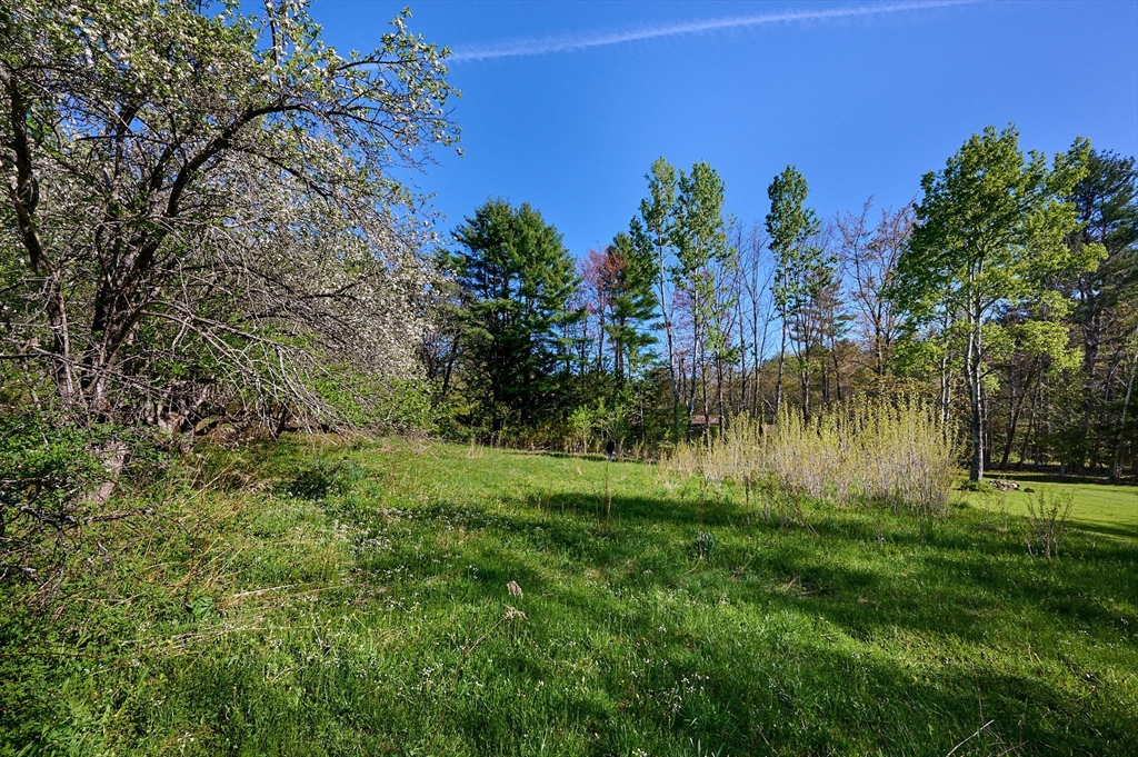0 Radiker Road Worthington, MA 01098 - Photo 16 of 18 a view of a garden