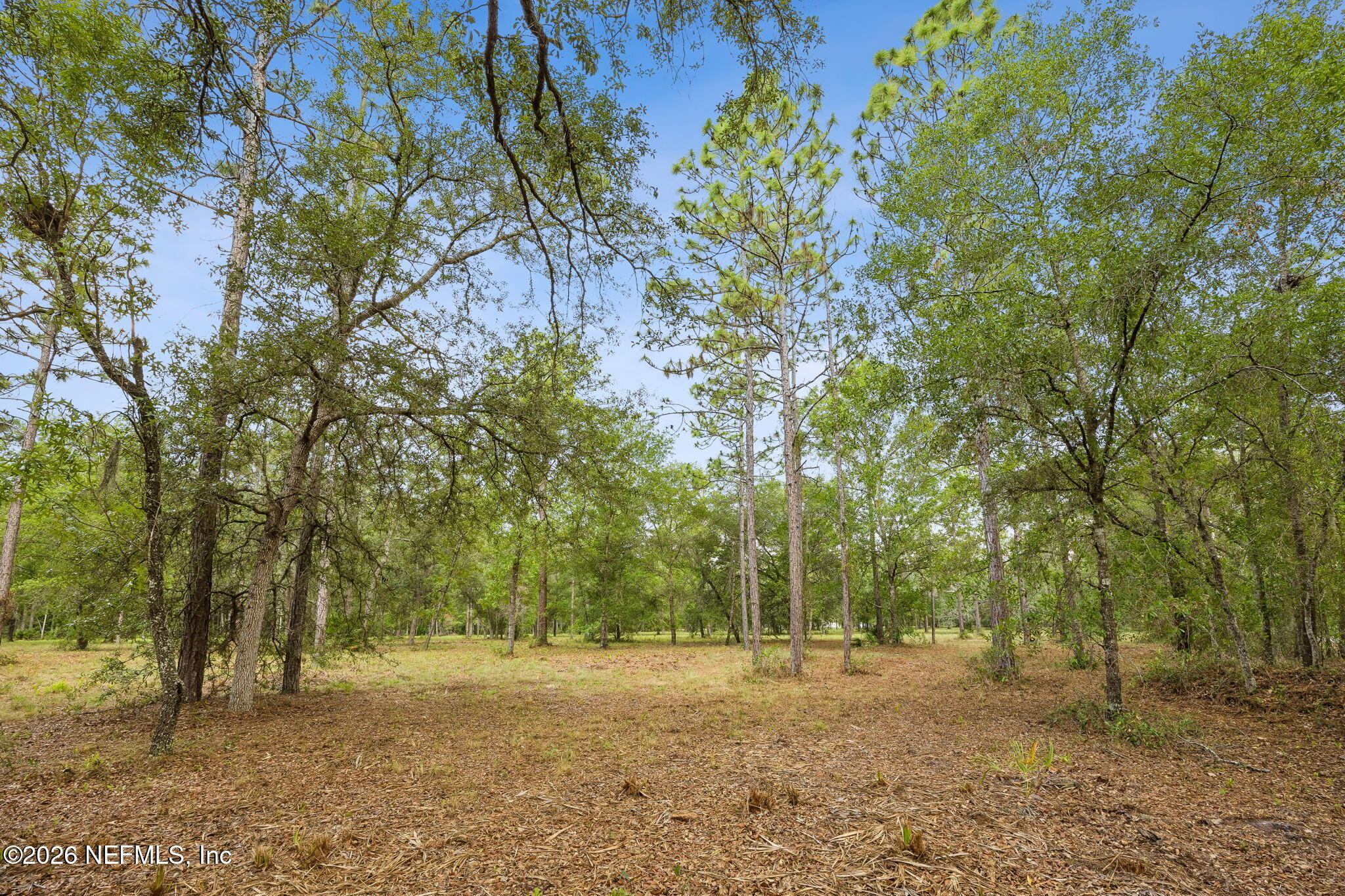 6015 Plantation Court Keystone Heights, FL 32656 - Photo 9 of 16 12-web-or-mls-6015 Plantation Ct-12