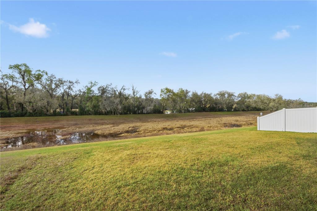 12945 Ogden Glade Road Dade City, FL 33525 - Photo 23 of 26 a view of lake view