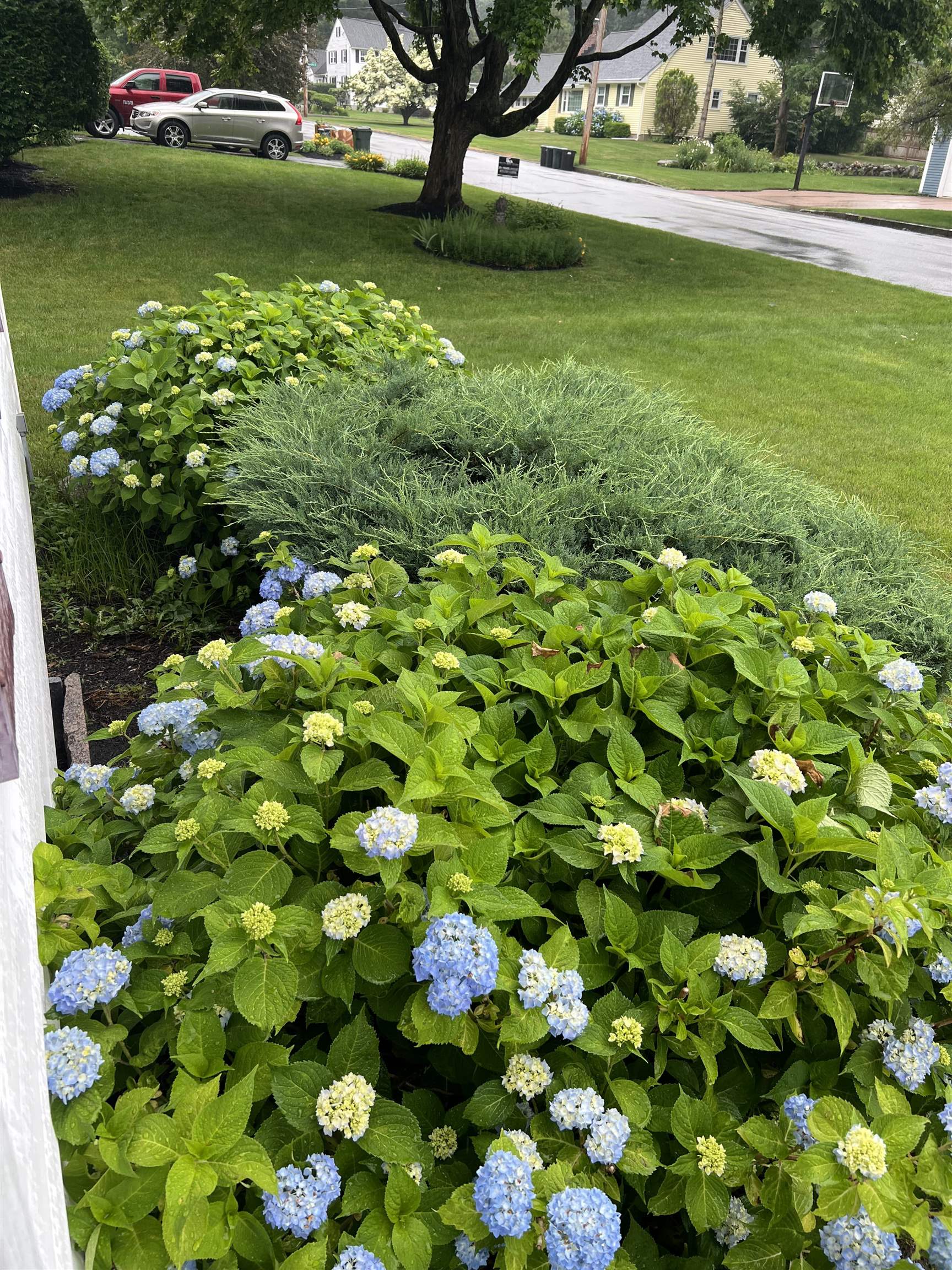 104 North Gate Road Manchester, NH 03104 - Photo 4 of 41