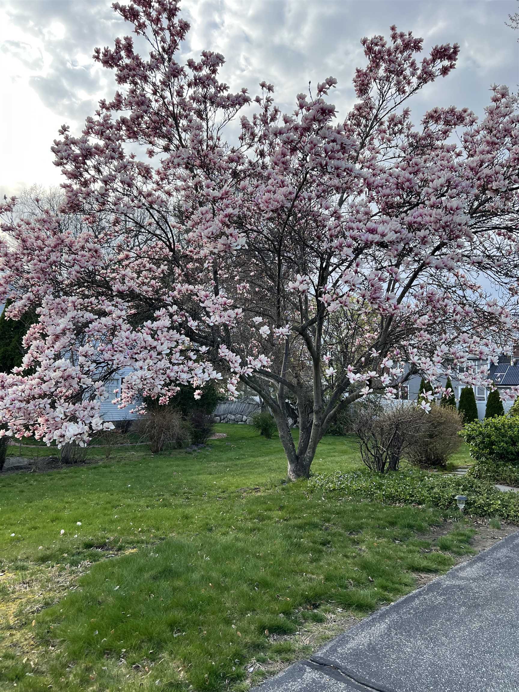 104 North Gate Road Manchester, NH 03104 - Photo 7 of 41