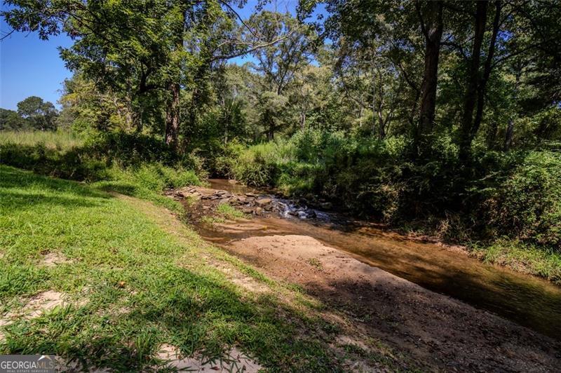 1700 Beaverdam Road Madison, GA 30650 - Photo 4 of 50 a view of a yard with plants and large trees