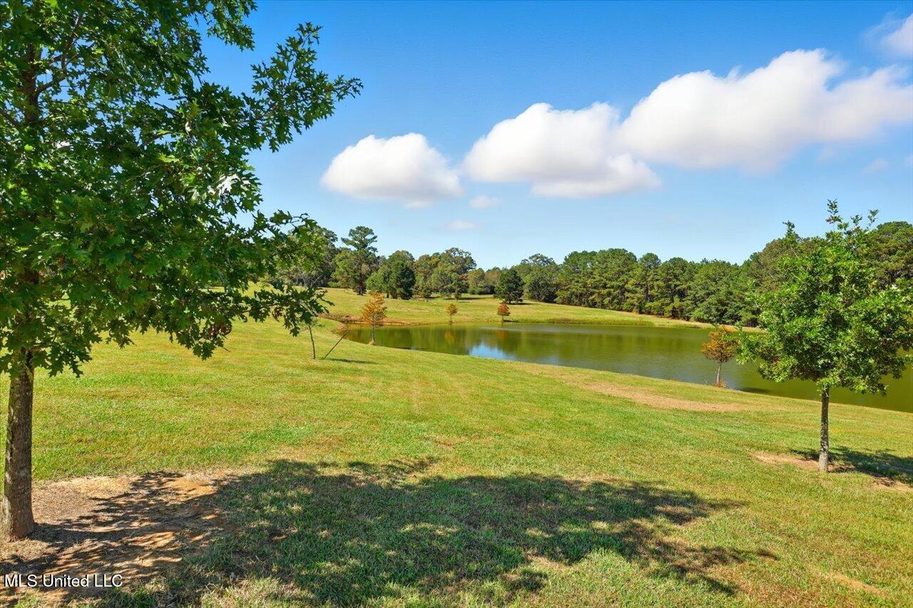 818 North Agency Lane Ridgeland, MS 39157 - Photo 41 of 102 042-818 N Agency Ln _ Home Tours MS