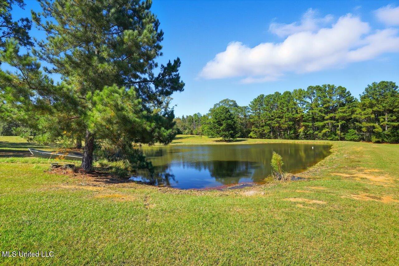 818 North Agency Lane Ridgeland, MS 39157 - Photo 76 of 102 082-818 N Agency Ln _ Home Tours MS