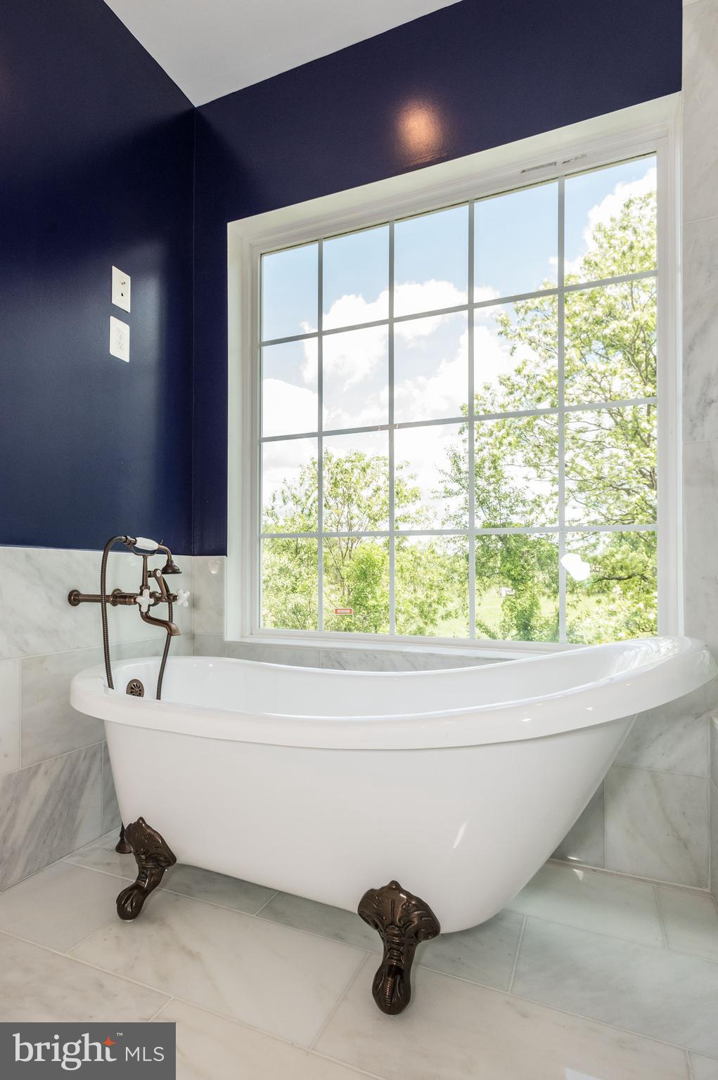 15435 Barnesville Road Boyds, MD 20841 - Photo 26 of 49 Master Bathroom Claw Foot Soaking Tub