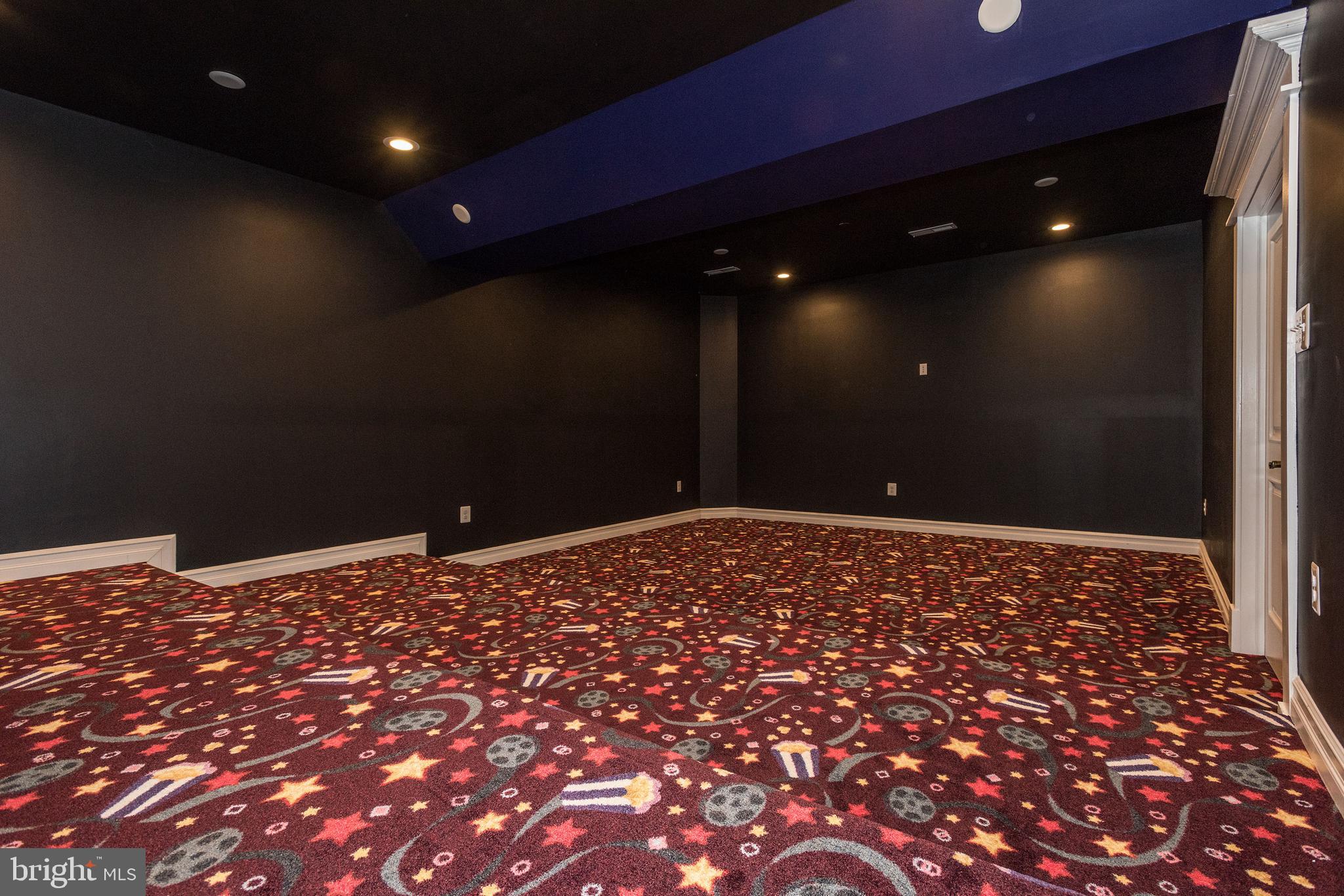 15435 Barnesville Road Boyds, MD 20841 - Photo 40 of 49 Lower Level Theater Room