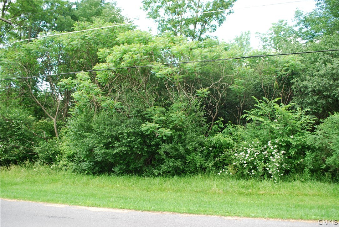 0 Lewis Road Auburn, NY 13021 - Photo 1 of 3