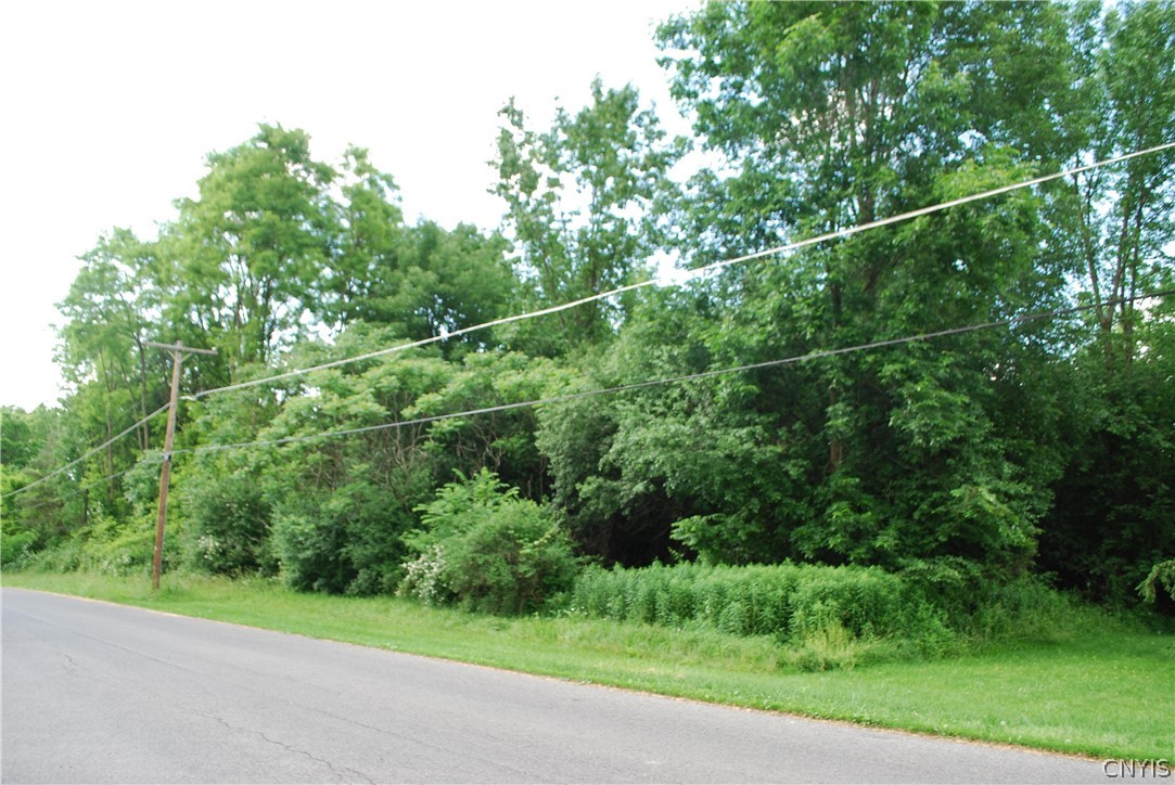 0 Lewis Road Auburn, NY 13021 - Photo 2 of 3