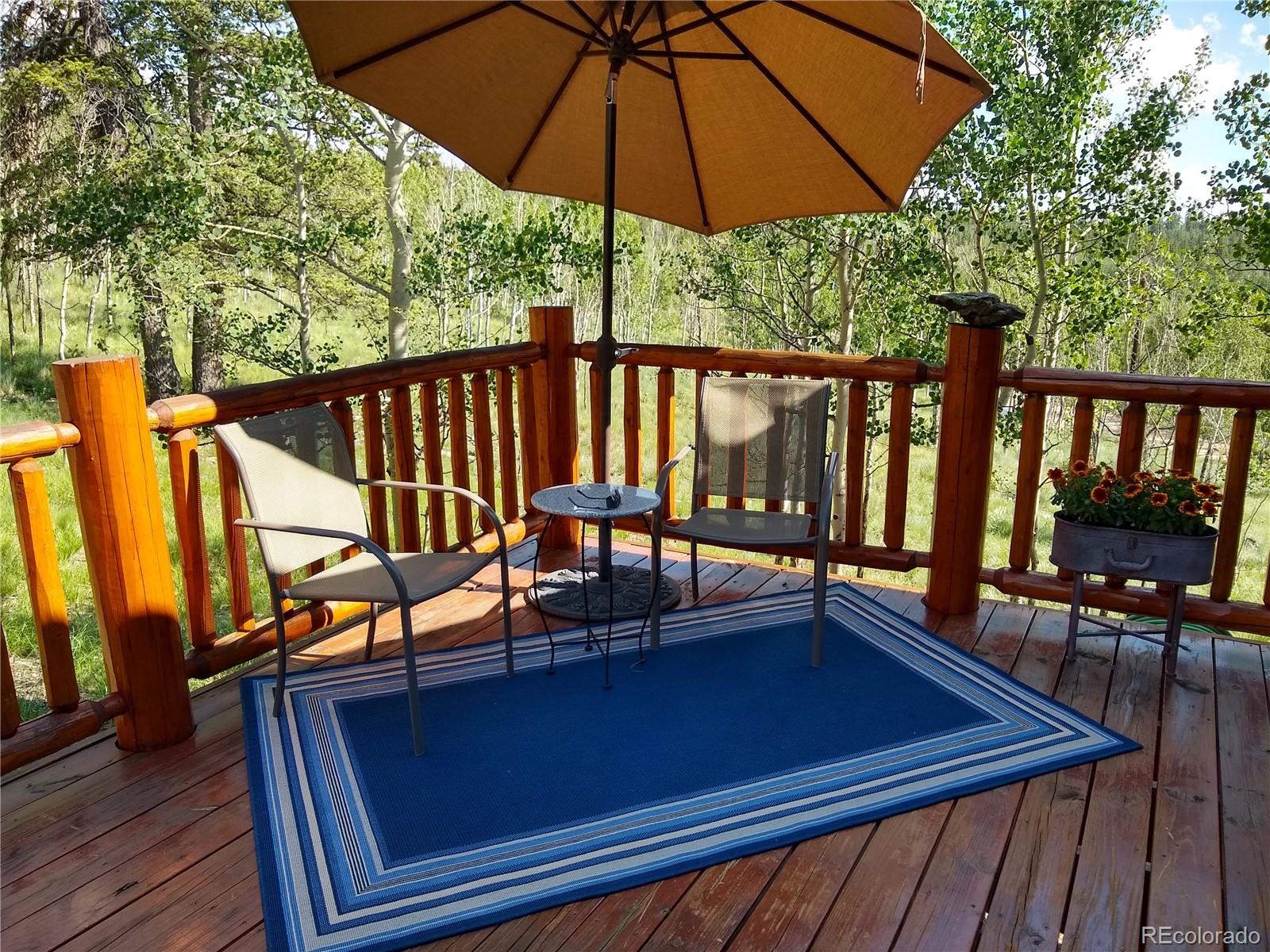 684 Haida Road Como, CO 80456 - Photo 5 of 39 Gallery Image 5