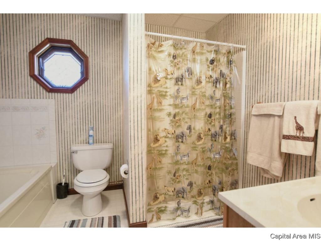 6361 Country Green Rochester, IL 62563 - Photo 16 of 34