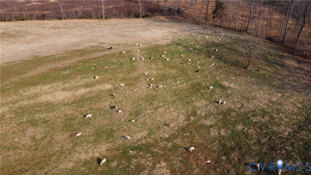 23381 Genito Road Jetersville, VA 23083 - Photo 17 of 29 Bird's eye view