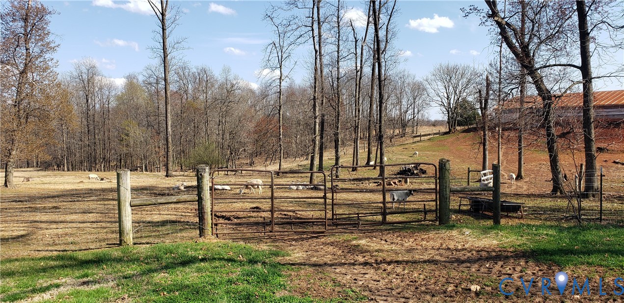 23381 Genito Road Jetersville, VA 23083 - Photo 21 of 29