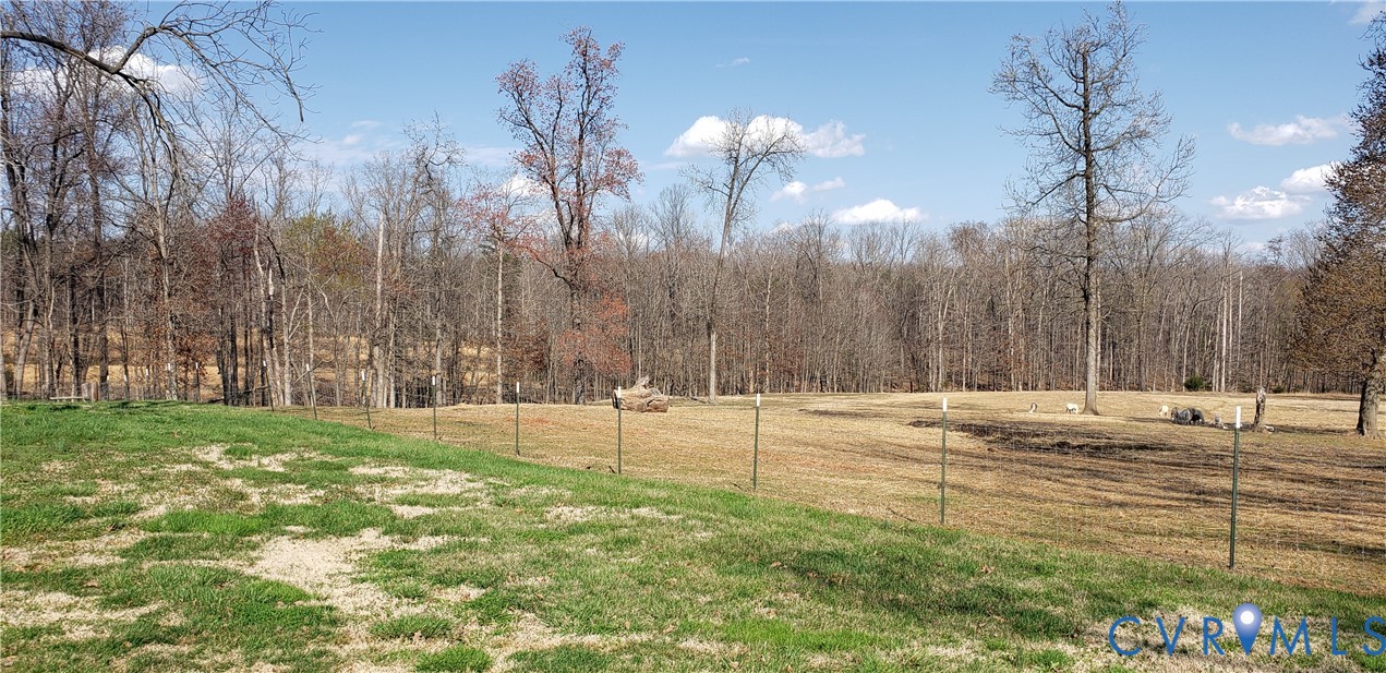 23381 Genito Road Jetersville, VA 23083 - Photo 22 of 29 a view of a yard with trees in the background
