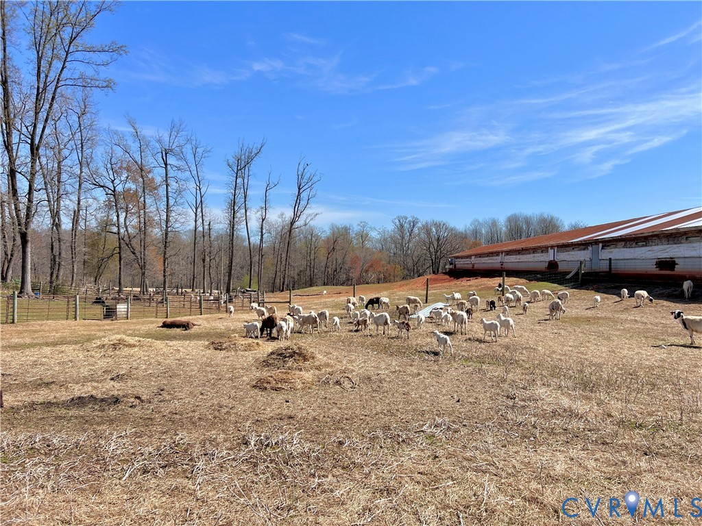 23381 Genito Road Jetersville, VA 23083 - Photo 50 of 54 a view of a yard with a snow