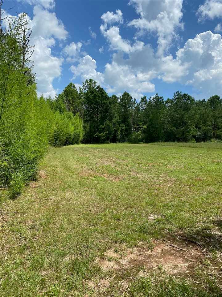 0 Smokehouse Road Red Level, AL 36474 - Photo 3 of 7 Gallery Image 3