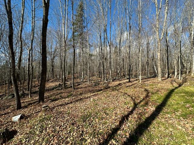 801 Bog Road Kingfield, ME 04947 - Photo 25 of 37 image21