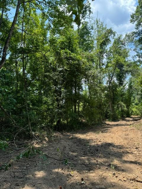 Tbd Fred Bacot Road Summit, MS 39666 - Photo 14 of 29 Photo 14