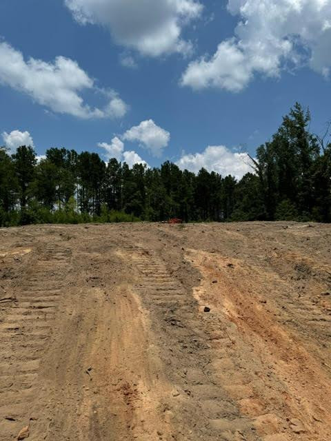 Tbd Fred Bacot Road Summit, MS 39666 - Photo 15 of 29 Photo 15