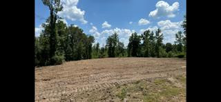 Tbd Fred Bacot Road Summit, MS 39666 - Photo 8 of 29 Photo 8