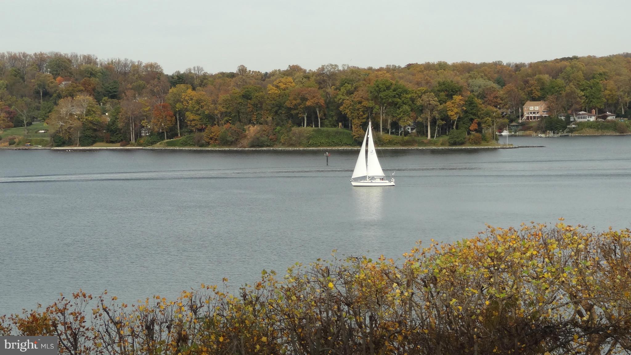 332 Thorsby Road Annapolis, MD 21405 - Photo 7 of 30 a view of a lake with a mountain in the background