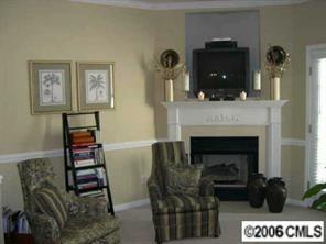 754 Shellstone Place Fort Mill, SC 29708 - Photo 3 of 8 a living room with furniture a fireplace and a potted plant