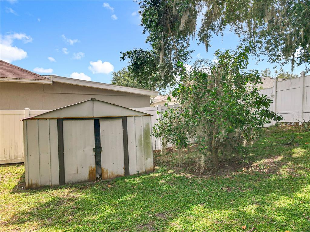 7939 Riffle Lane Orlando, FL 32818 - Photo 43 of 52 a backyard of a house with plants and tree